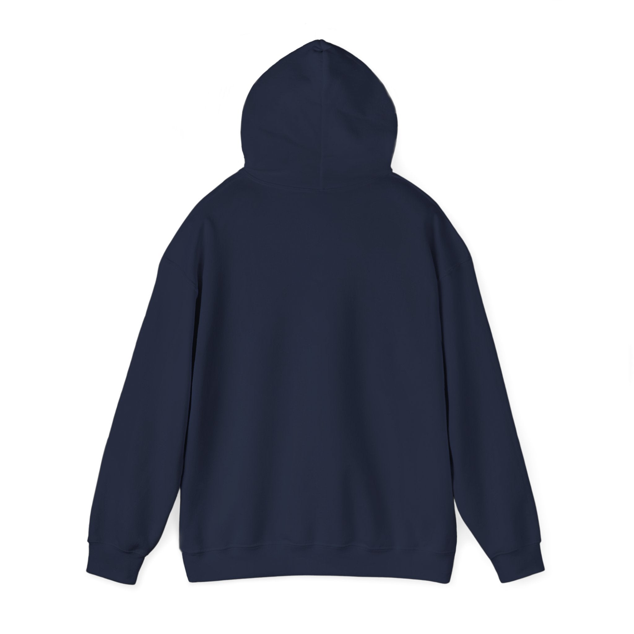 Jeremiah 29:11™ Hooded Sweatshirt