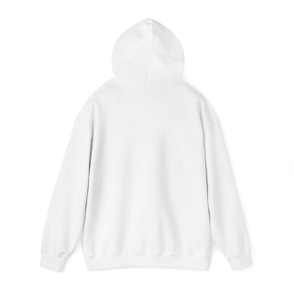 Jeremiah 29:11™ Hooded Sweatshirt