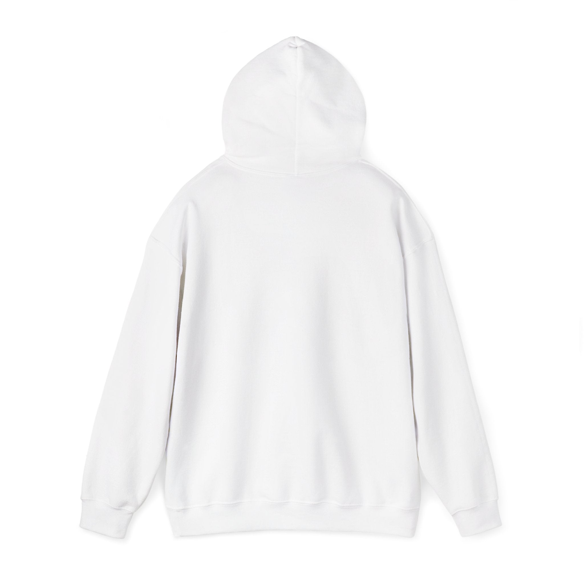 Jeremiah 29:11™ Hooded Sweatshirt