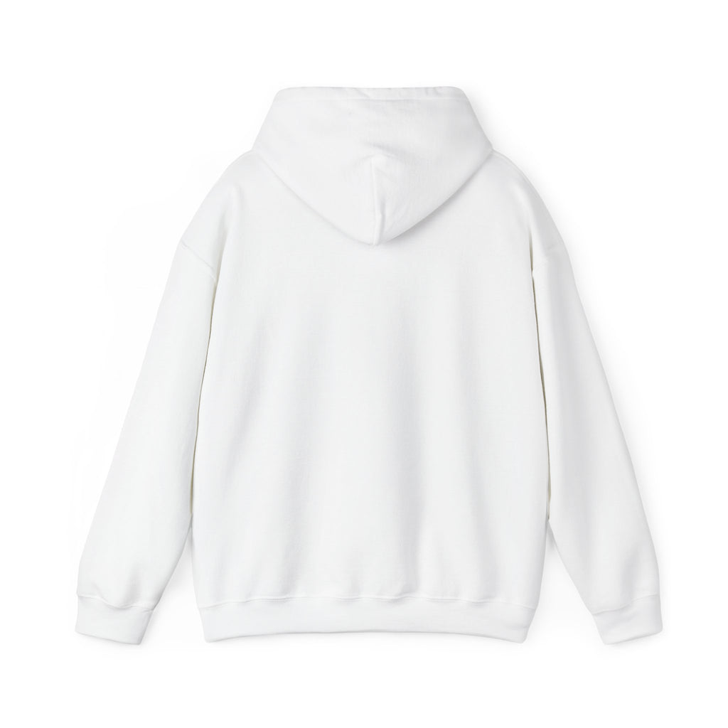 Jeremiah 29:11™ Hooded Sweatshirt