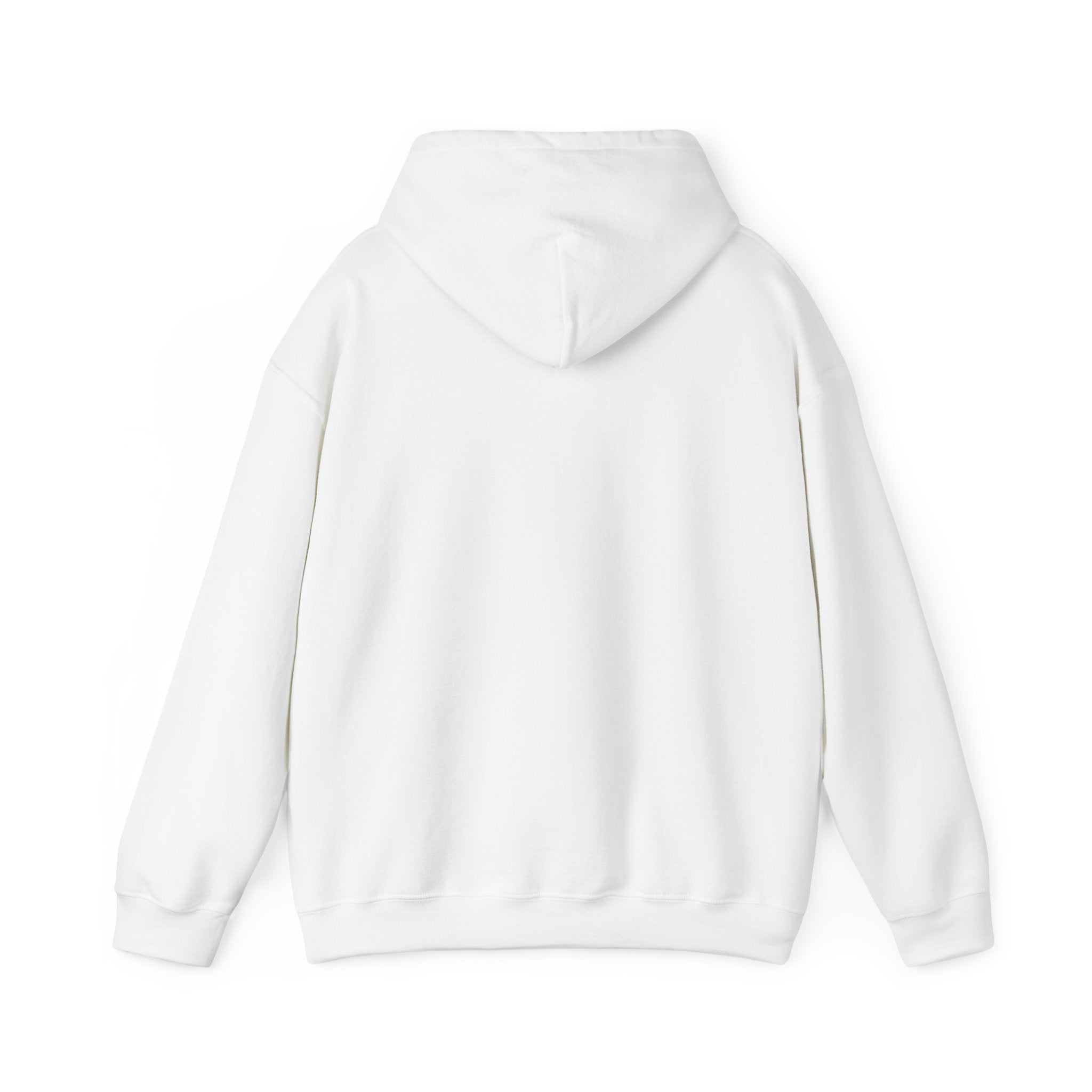 Jeremiah 29:11™ Hooded Sweatshirt