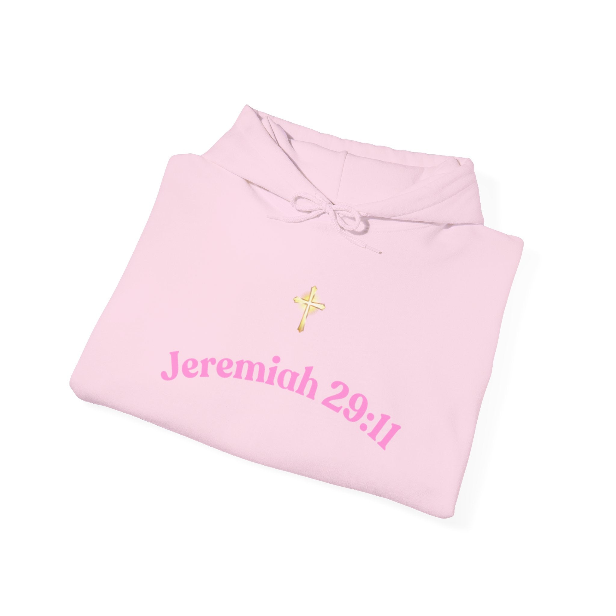 Jeremiah 29:11™ Hooded Sweatshirt