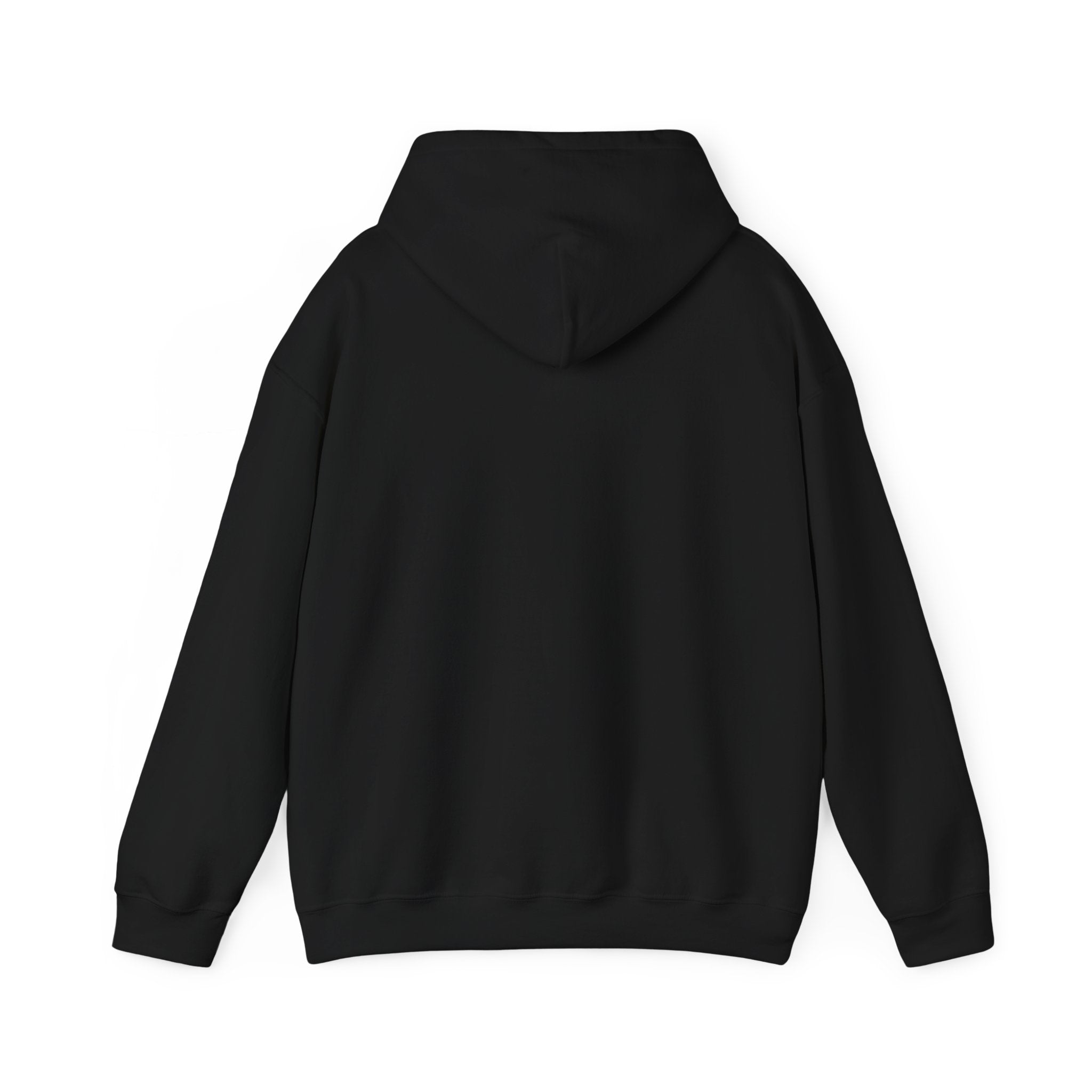 Jeremiah 29:11™ Hooded Sweatshirt