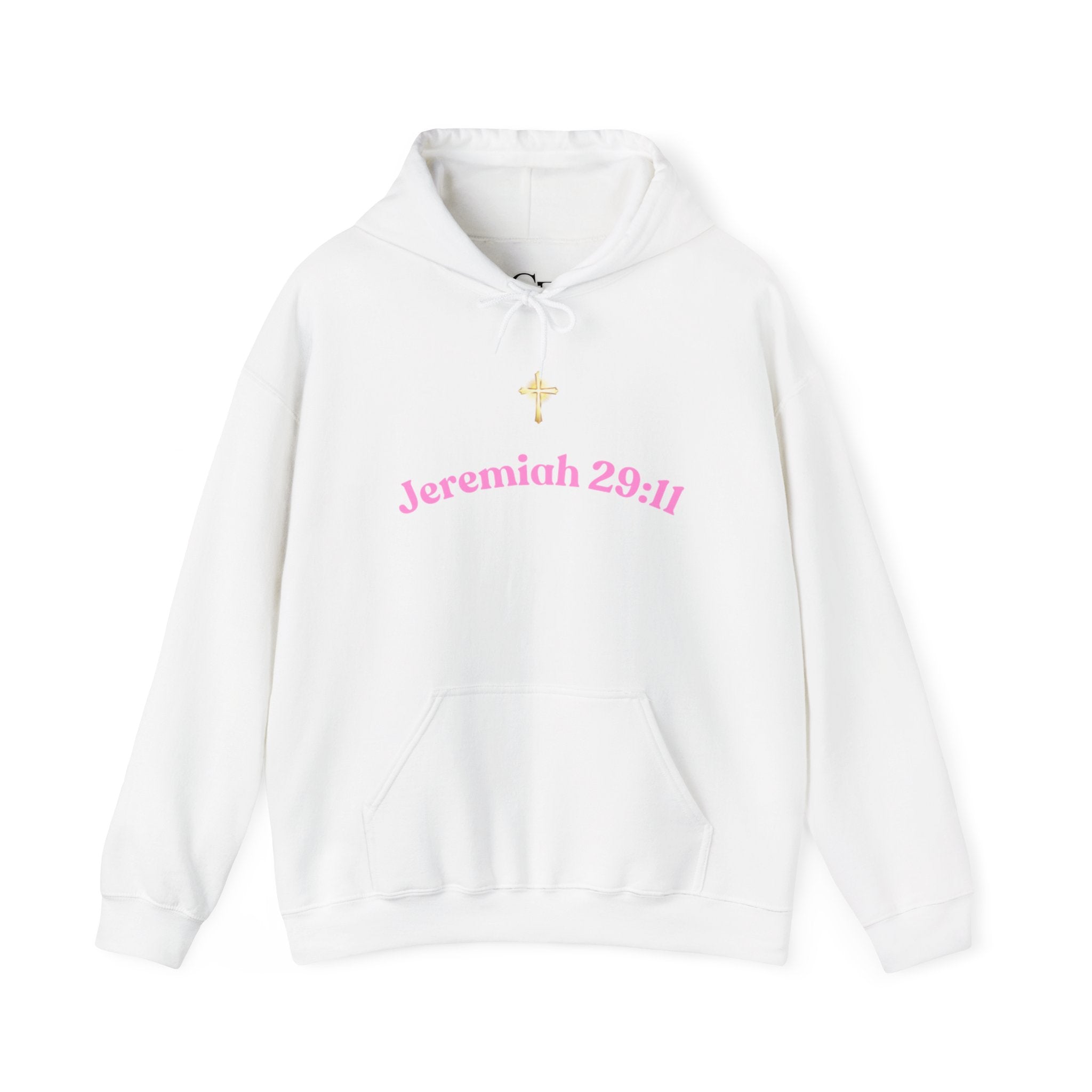 Jeremiah 29:11™ Hooded Sweatshirt