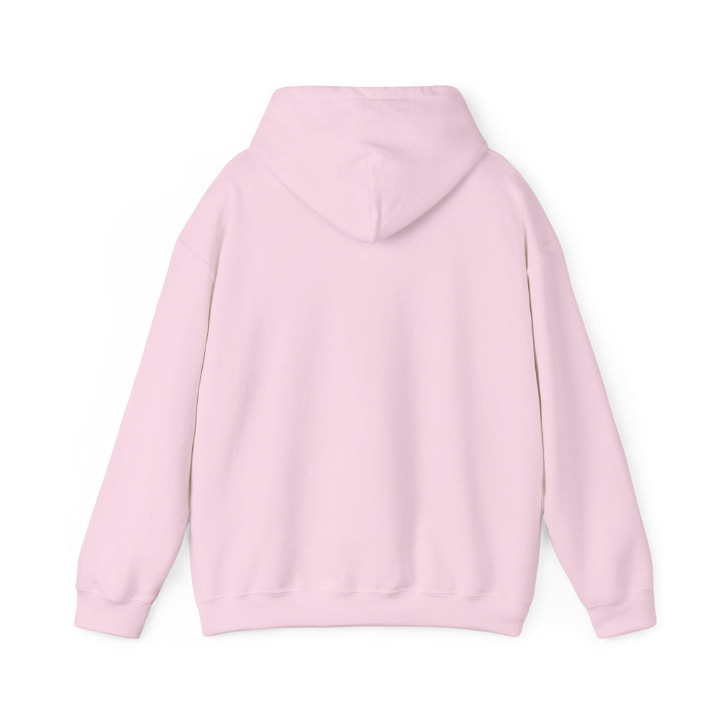 Jeremiah 29:11™ Hooded Sweatshirt
