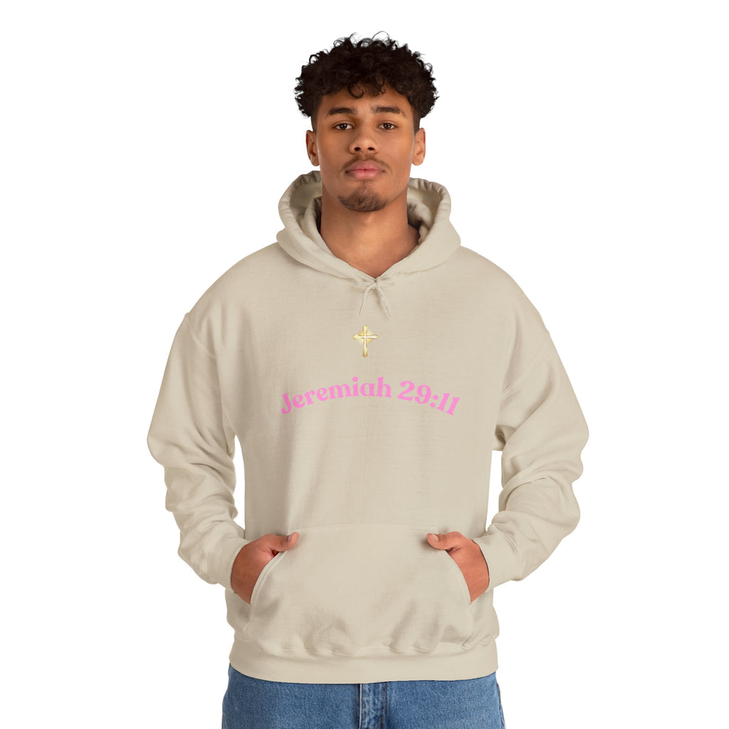 Jeremiah 29:11™ Hooded Sweatshirt