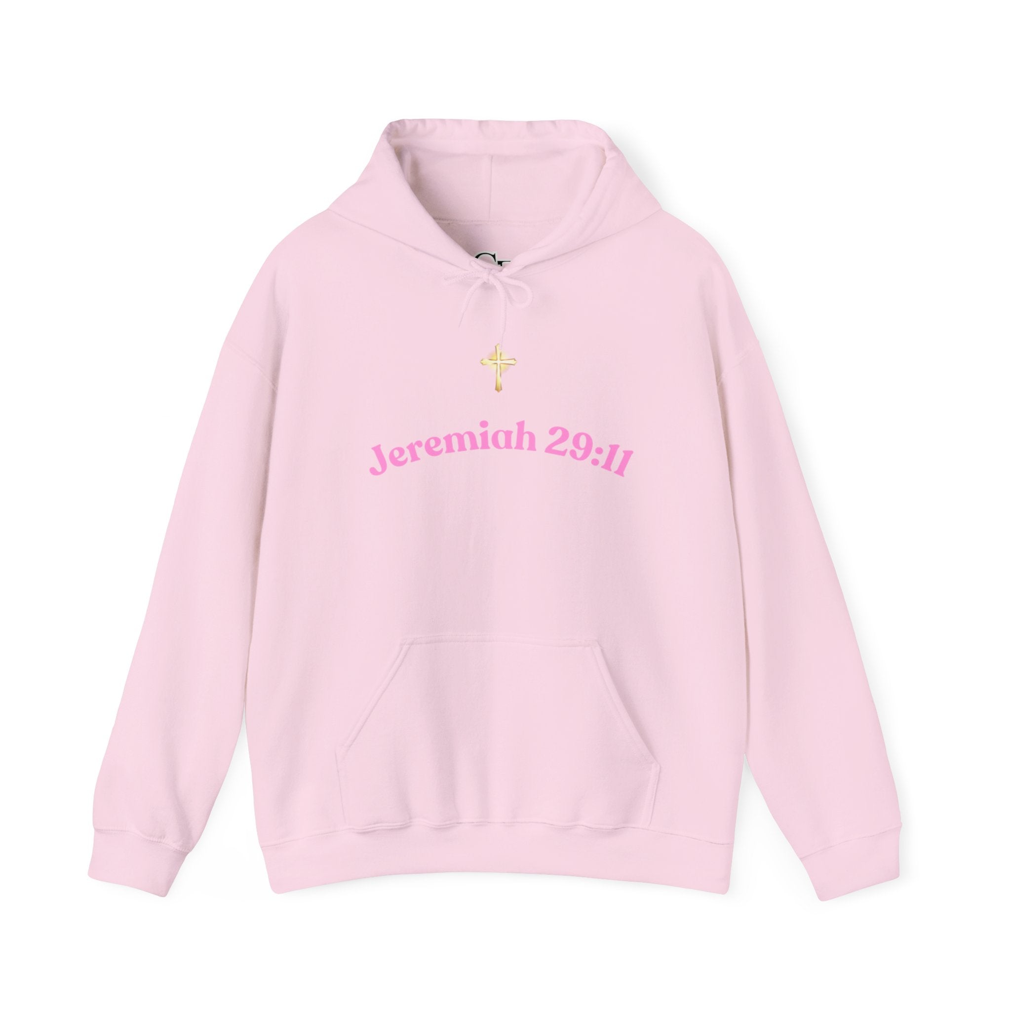 Jeremiah 29:11™ Hooded Sweatshirt