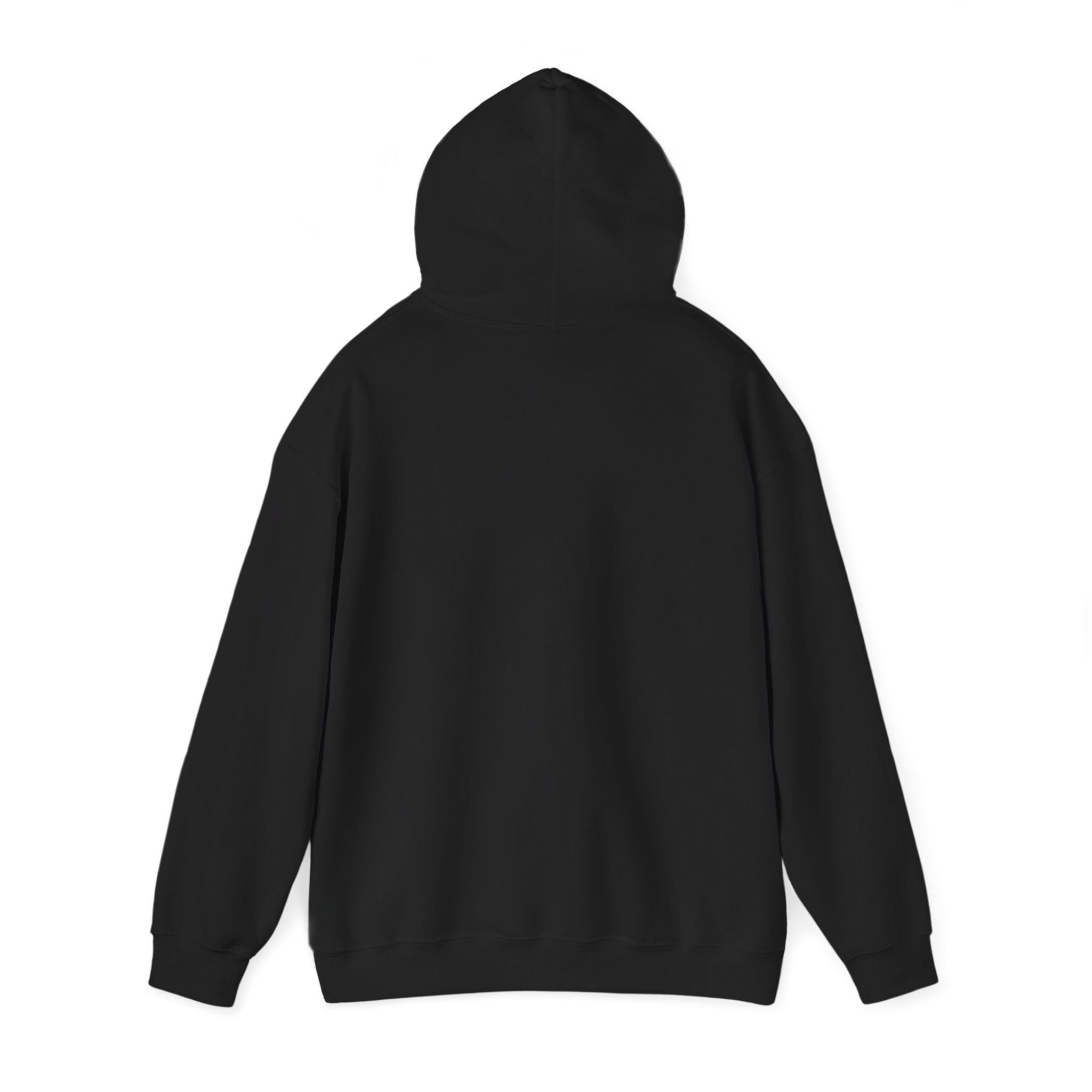 Jeremiah 29:11™ Hooded Sweatshirt