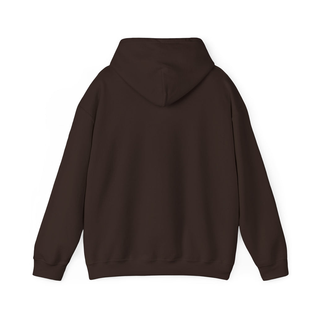 Jeremiah 29:11™ Hooded Sweatshirt