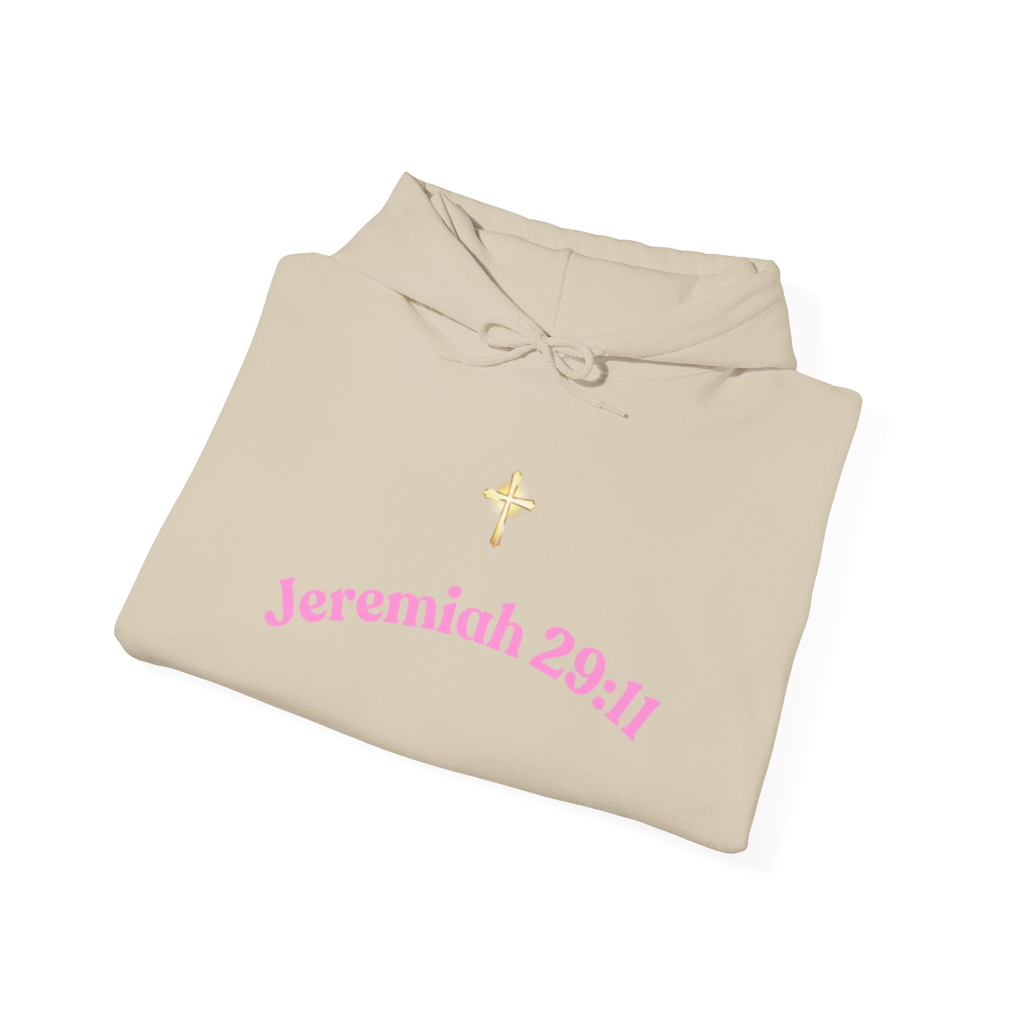 Jeremiah 29:11™ Hooded Sweatshirt