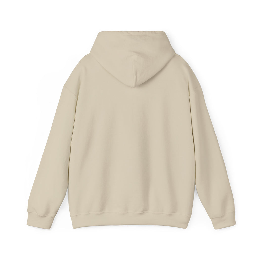 Jeremiah 29:11™ Hooded Sweatshirt