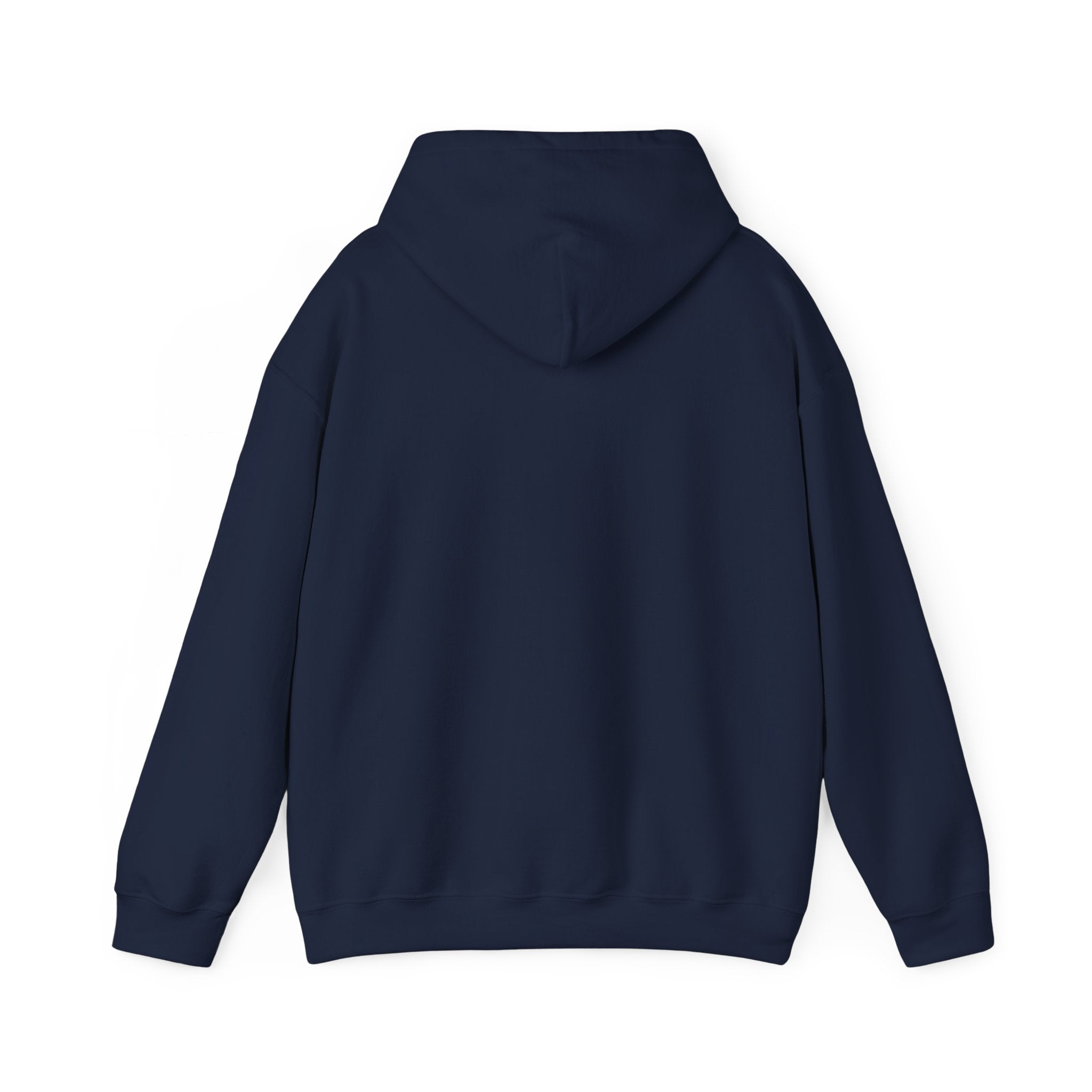 Jeremiah 29:11™ Hooded Sweatshirt