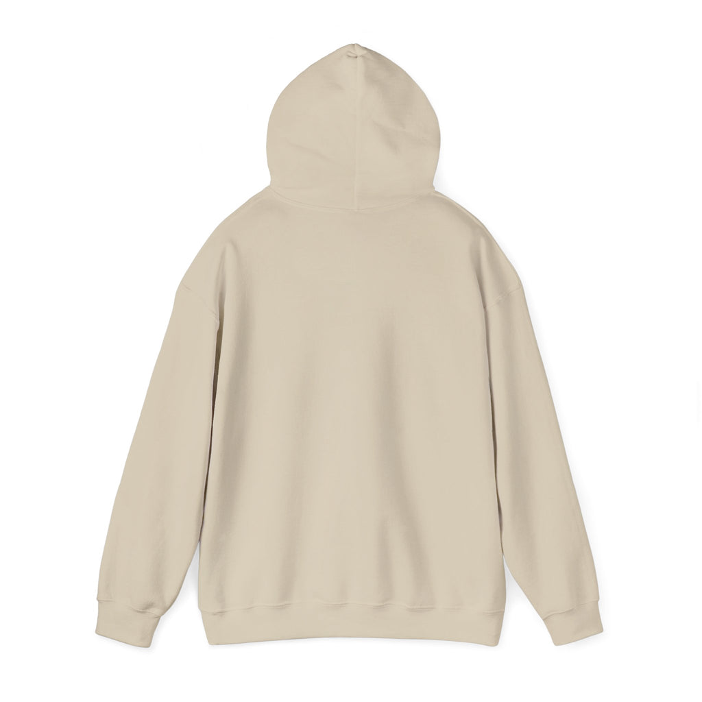 Jeremiah 29:11™ Hooded Sweatshirt