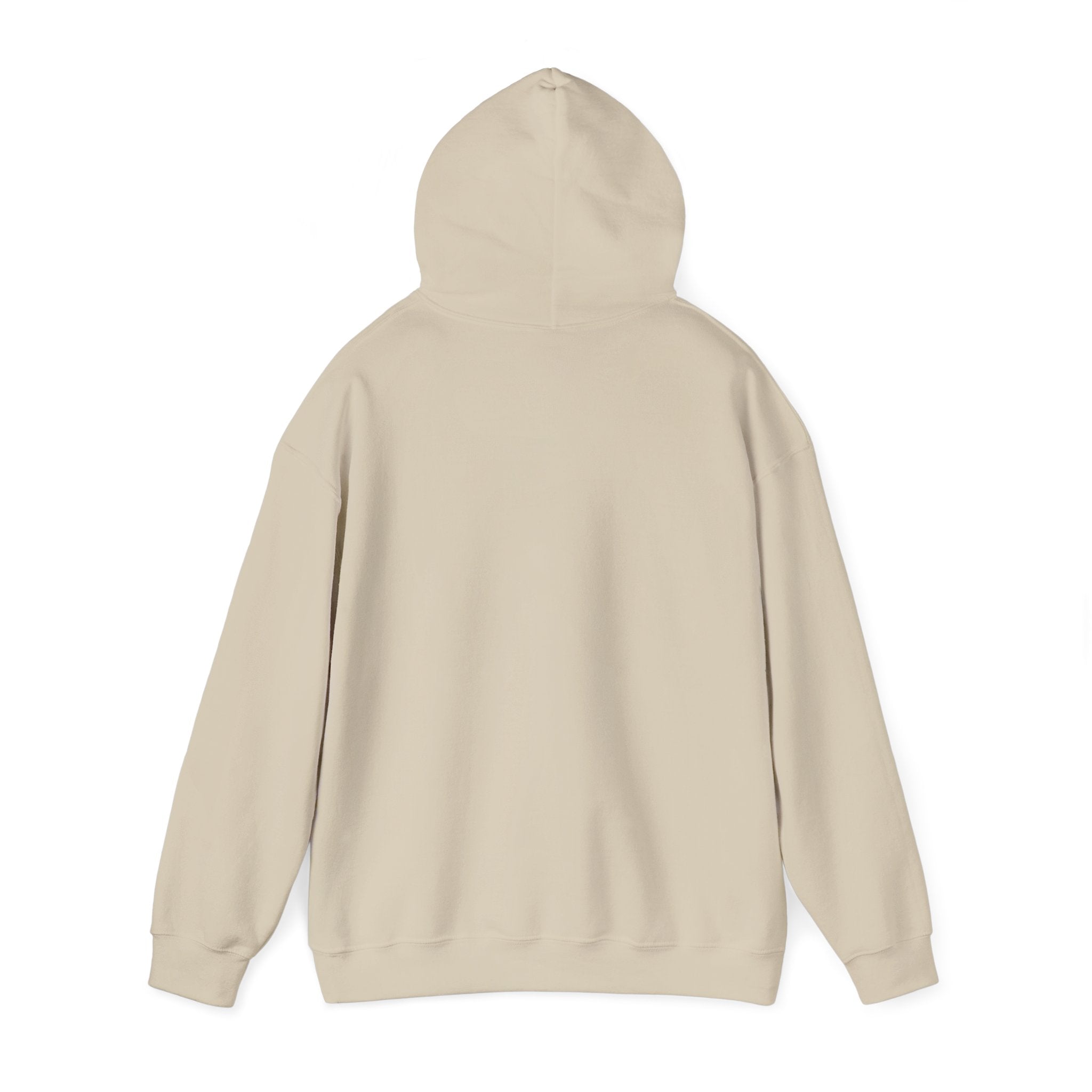 Jeremiah 29:11™ Hooded Sweatshirt