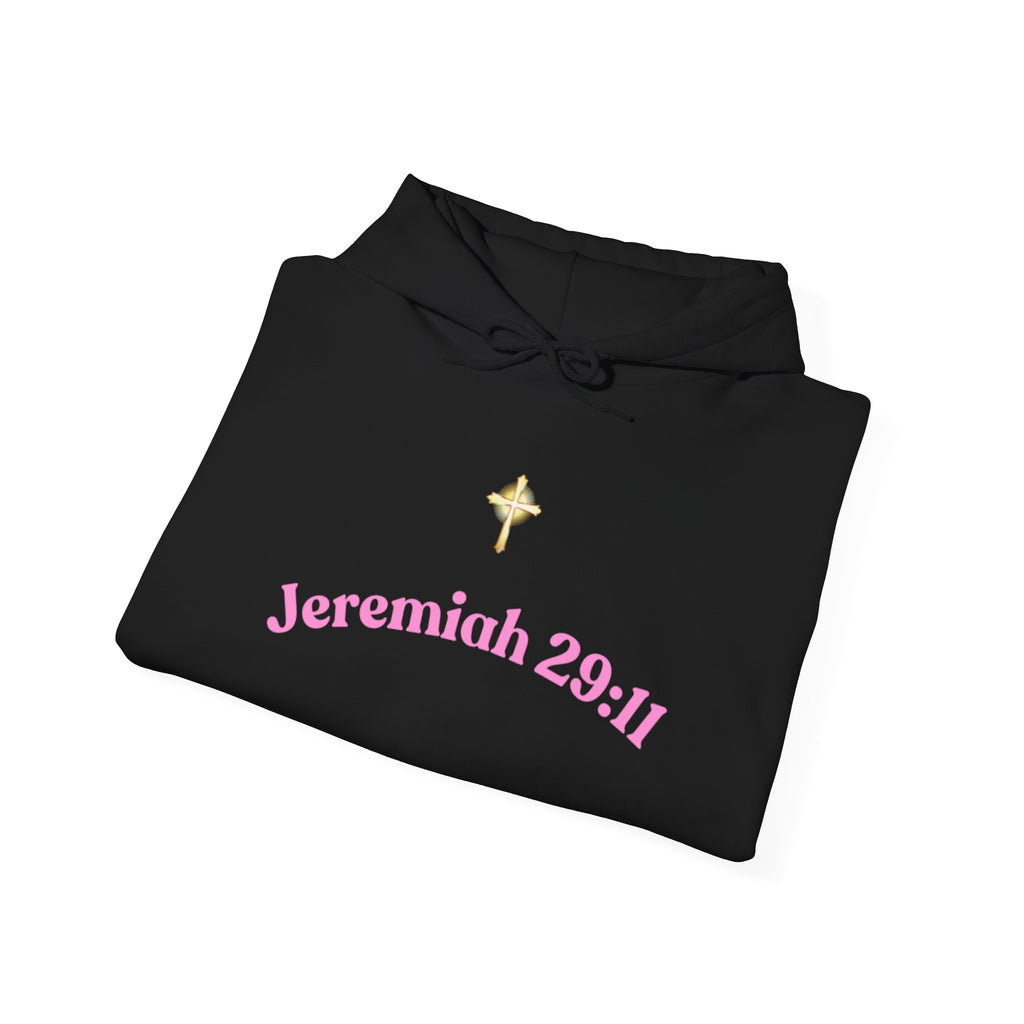 Jeremiah 29:11™ Hooded Sweatshirt