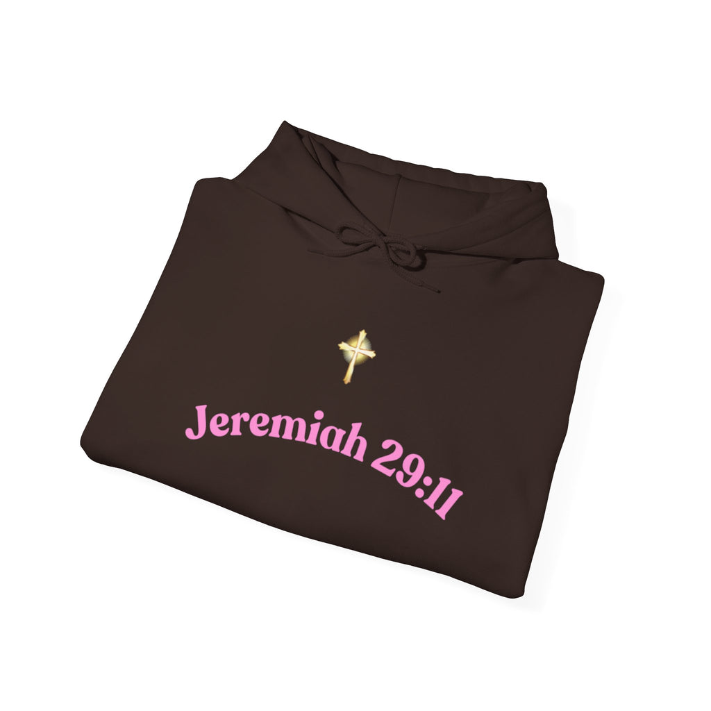Jeremiah 29:11™ Hooded Sweatshirt